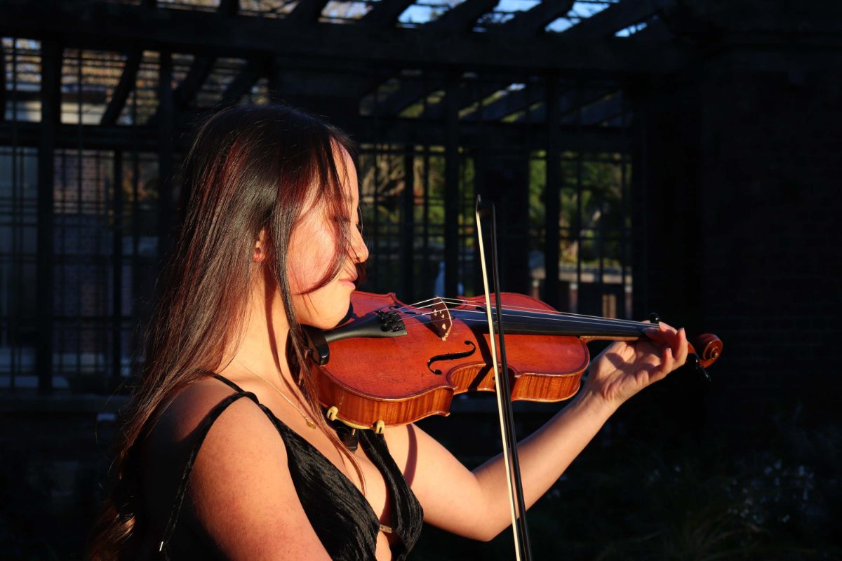 A violinist performing